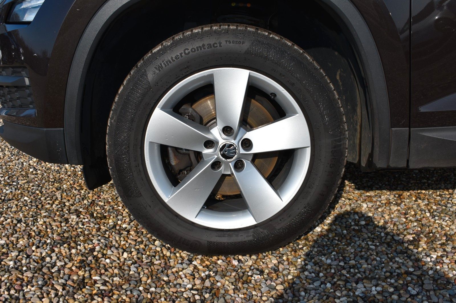 Fahrzeugabbildung SKODA Kodiaq Ambition 4x4