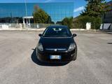Fiat Punto Evo Punto Evo 1.2 5 porte S&S Dynamic - schwarze Fiat Punto Evo