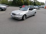 Mercedes-Benz CLK 230 K AVANTGARDE final edition (Sammler!) - Mercedes-Benz CLK 230 aus 2003