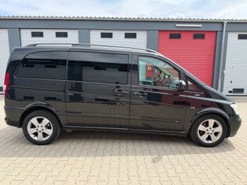 Mercedes Viano - 5
