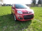 Fiat New Panda 1.2 8V LOUNGE Zahnriemen ern.3.25 - Fiat New Panda aus 2017