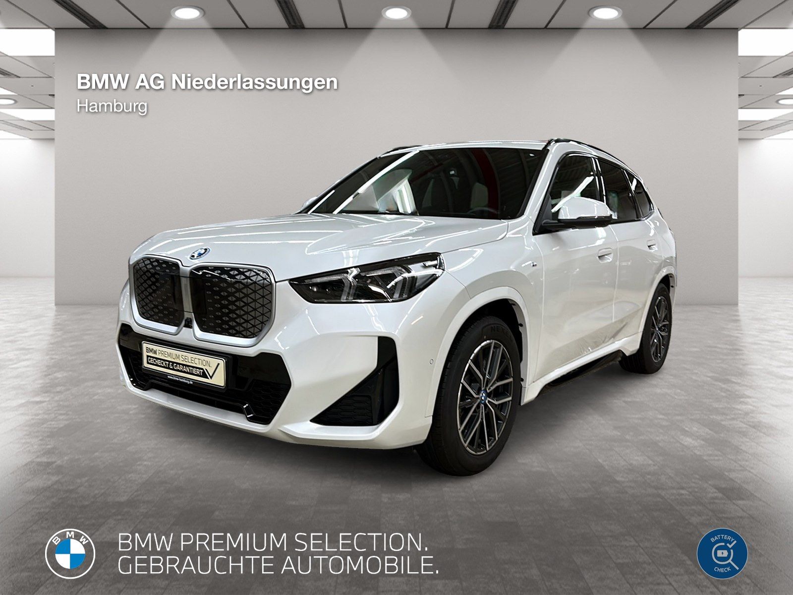 BMW iX1 xDrive30 M Sport AHK Driv.Assist.Prof LED