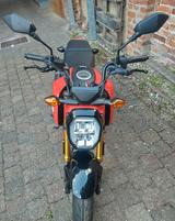 Honda MSX 125 Grom mit viel Zubehör - Offers