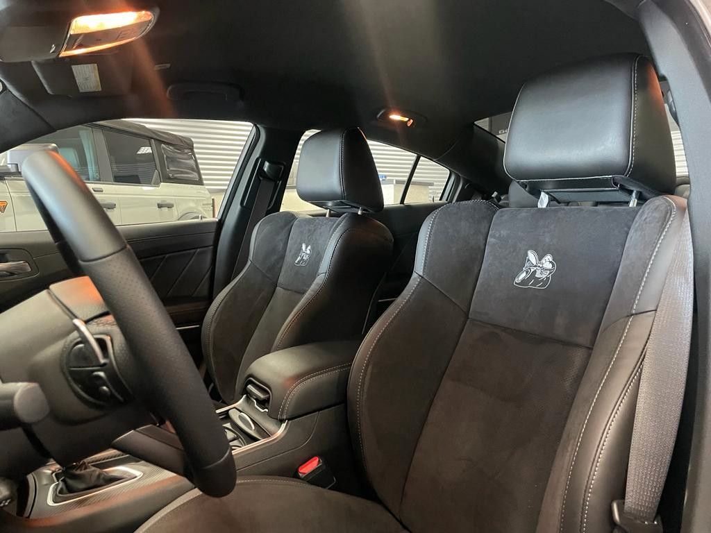 Fahrzeugabbildung Dodge CHARGER R/T SCAT PACK SLIMBODY 6.4L