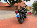 Harley-Davidson Softail Night Train - Angebote