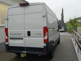 Peugeot Boxer Kasten 335 L2H2 Techno Plus Cargo AZV - Peugeot Boxer Gebrauchtwagen