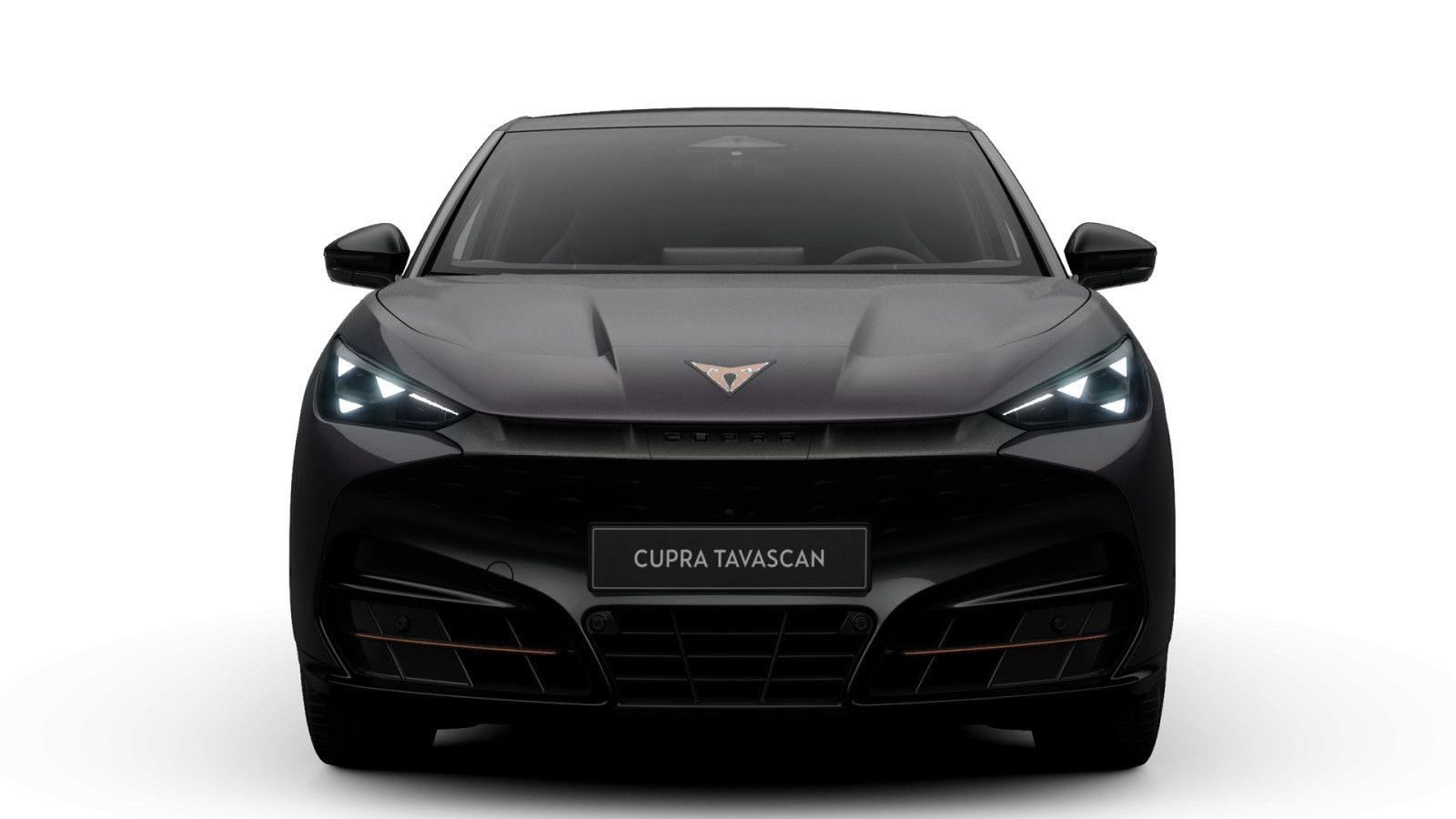 Cupra Tavascan VZ 4Drive 77 kWh imagem 3