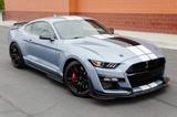Ford Mustang Shelby GT500 Heritage (mit Recaros) - Ford Mustang mit Panoramadach