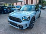 Andere Mini Cooper Countryman 1.5 Untamed Edition - Andere mit Benzin-Antrieb: Vollleder