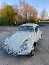 Volkswagen Käfer - Offers