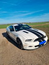 Ford Mustang CS/GT 5,0 - Ford in Erfurt