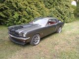 Ford Mustang 1966 V8 302 - Ford Mustang: 302