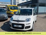 Fiat Panda Pop - Fiat Panda Gebrauchtwagen in Aachen