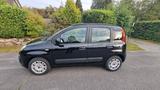 Fiat New Panda 1.2 8V POP  - Fiat New Panda: Kleinwagen