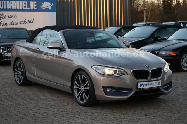 BMW 228i Cabrio M-Sport Paket-LED-Navi-Leder-PDC...