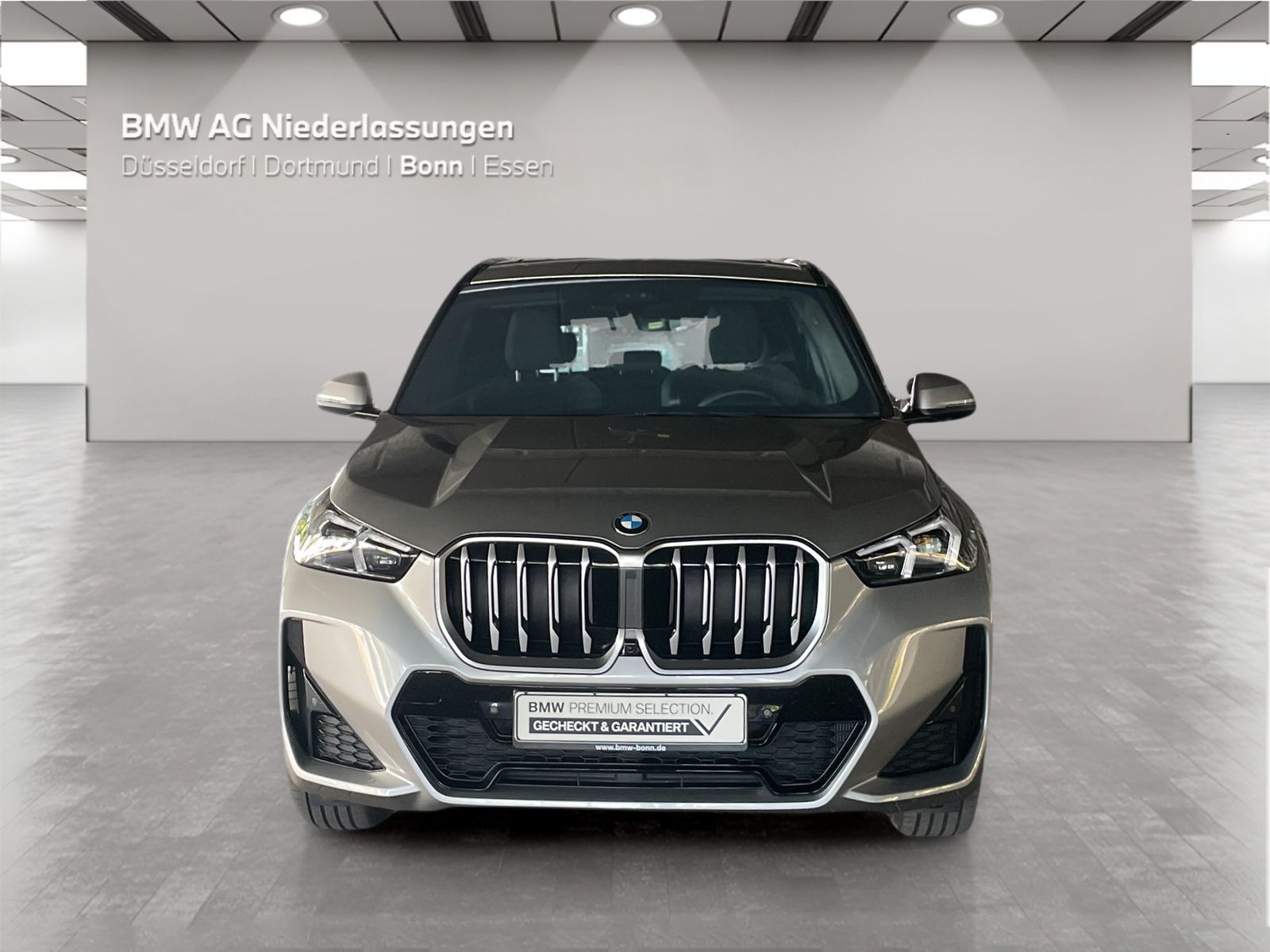 BMW X1 - Bild 8