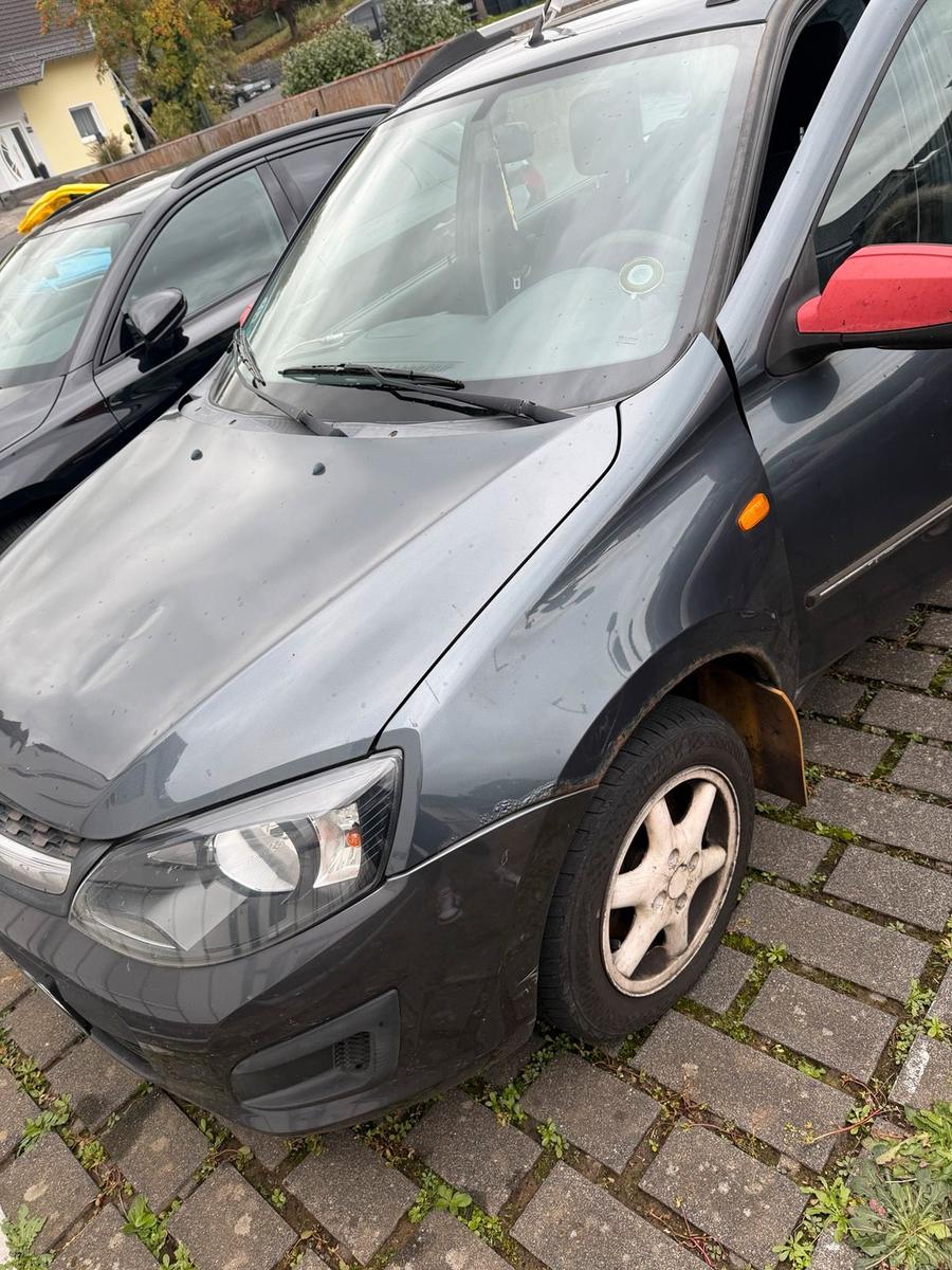 Lada Andere