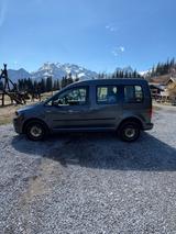 Volkswagen Caddy 2,0TDI 110kW BMT DSG Trendline 5-Sitze... - VW Caddy von privat