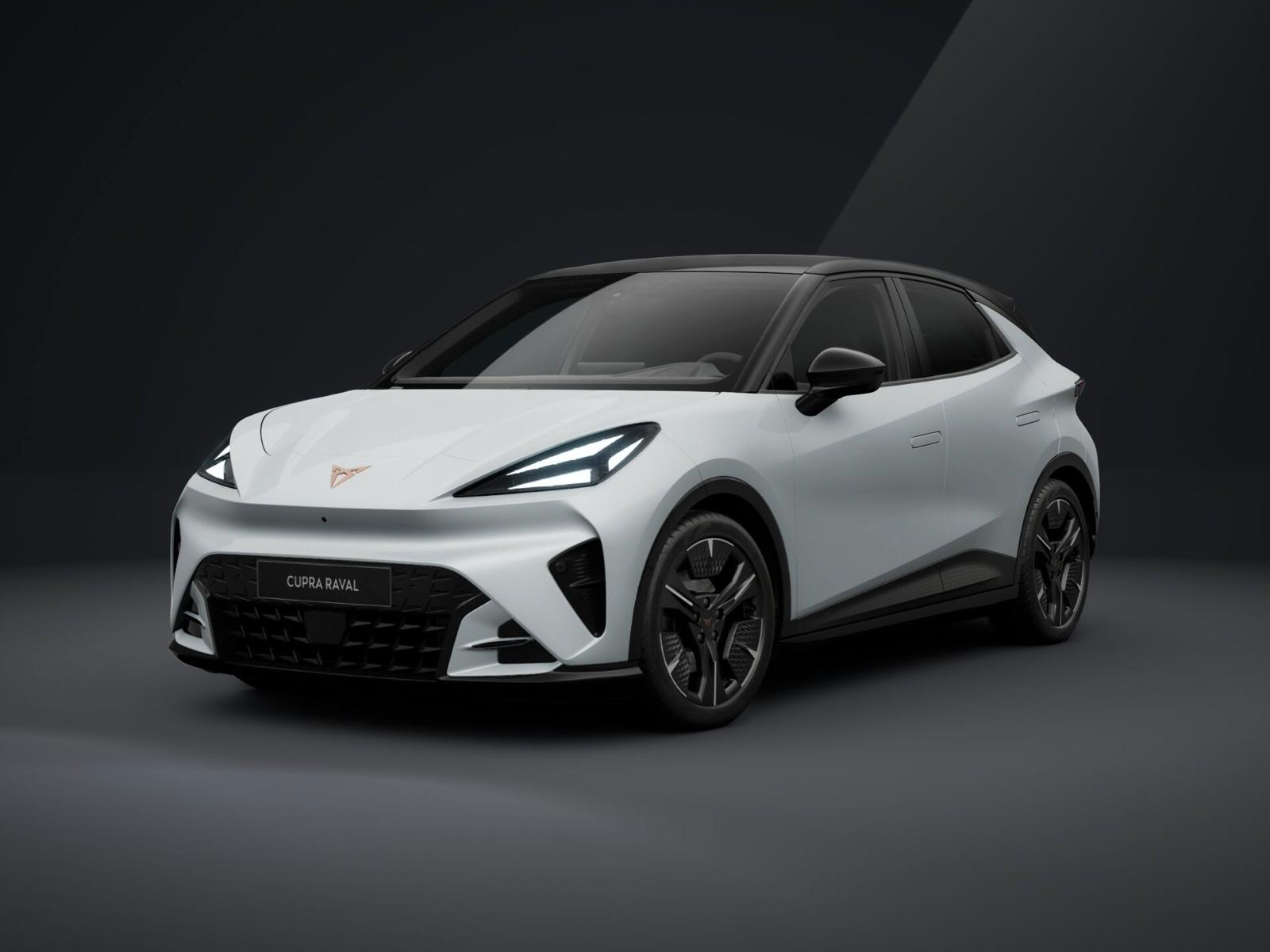 Cupra Raval PLUS + WÄRMEPUMPE+AHK+EDGE PACK+MATRIX LED