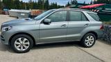 Mercedes-Benz GLE 250 d 4MATIC - - schwarze Mercedes-Benz GLE-Klasse
