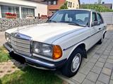 Mercedes-Benz Mercedes Benz 240 Diesel W 123 - KLIMA, Al... - Mercedes-Benz 240: W123 240d