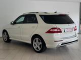 Mercedes-Benz ML 350 CDI BlueTec 4Matic AMG-Line|AHK|STANDHZ| - Mercedes-Benz ML 350: AMG