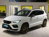 Cupra Ateca Basis 4Drive*360*Apple Carplay* - Cupra aus 2021