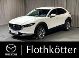 Mazda CX-30 D116 SELECTION*DESIGN*ACTIVE*BOSE*NAVI* - Mazda CX-30 Diesel Gebrauchtwagen