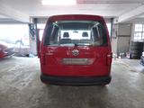 Volkswagen Caddy Nfz Kasten EcoProfi BMT - Nfz gebraucht