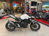 Honda CB1000 Hornet *SC-Auspuff und QS* - HONDA S HORNET