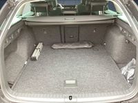 Skoda Octavia - Vorschau Bild 13