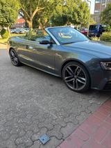 Audi A5 Cabrio TDI Quattro - Audi Cabriolet mit Diesel-Antrieb