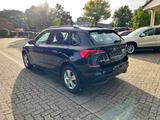 Skoda Kamiq Active DSG Tempom PDC AHK ALU Allwetter - Skoda Kamiq: Active