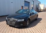 Audi A5 2.7 TDI (DPF) multitronic Cabriole... - Audi Cabriolet mit Diesel-Antrieb: Automatik