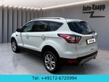Ford Kuga 1.5 EcoBoost Titanium 4x2*ActivePark* - Ford Kuga: Weiß