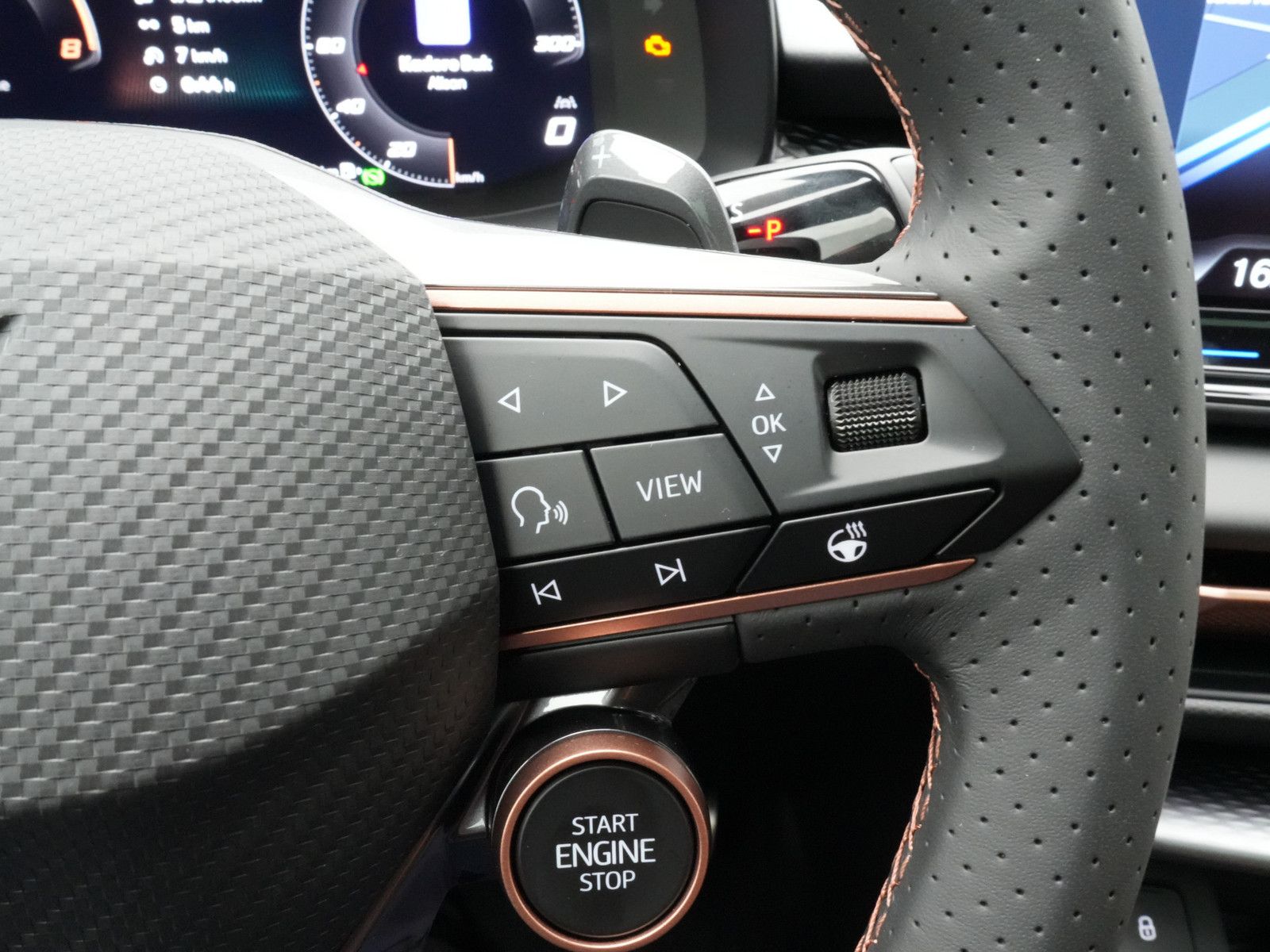 Cupra Terramar - Bild 17