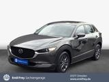 Mazda CX-30 2.0 M-Hyb. Aut. SELECTION Nav + RFC + LED - Mazda CX-30 in Dresden