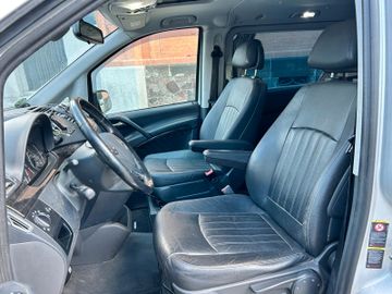 Mercedes Viano - 7