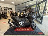 Honda ADV 350 (2025er Modell inkl. 6 Jahre Garantie) - Honda Motorräder in Magdeburg