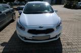 Kia Ceed 1.6 GDI - Kia Besta Gebrauchtwagen