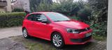 Volkswagen Polo 1.2 TDI Black Edition/Silver Edition Bl... - Volkswagen Polo Edition mit Diesel-Antrieb