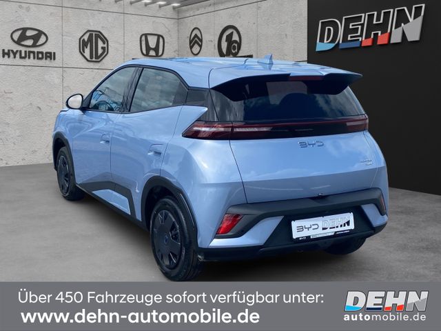 BYD Dolphin Surf Active