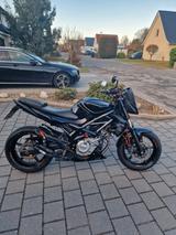 Suzuki SFV Gladius 650 (A2-Maschine) - SUZUKI GLADIUS