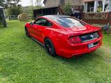 Ford US-Mustang 3.7 L V6 - Ford Mustang: V6