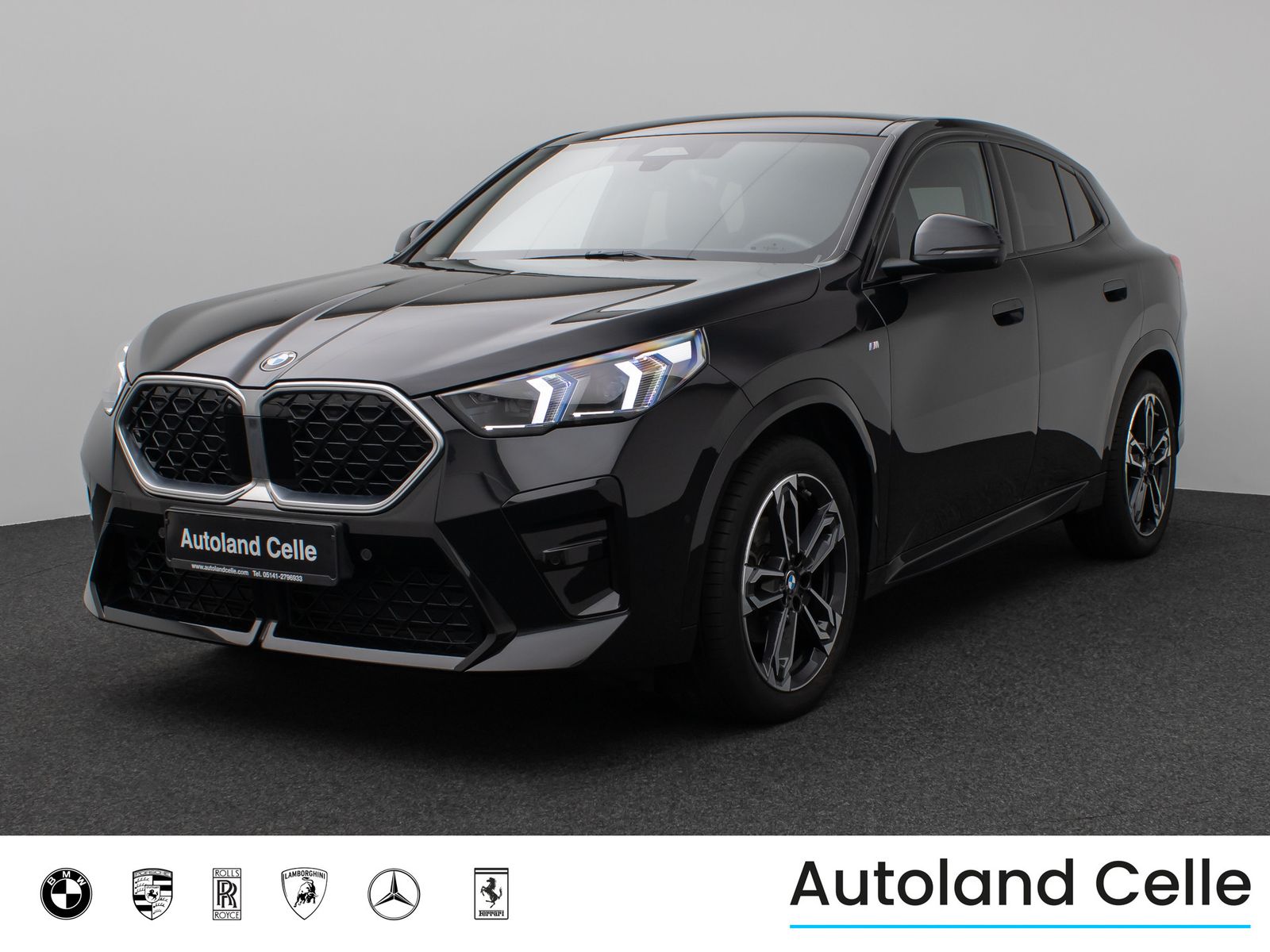 Fahrzeugabbildung BMW X2 xD20d M Sport Panorama 360°HUD DAB H/K 19Zoll