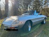 Alfa Romeo Spider 2000 - Alfa Romeo Spider aus 1979