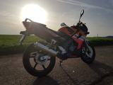 Honda CBR 125 REPSOL Edition  - HONDA 2006 CBR 125