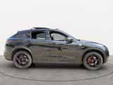 Alfa Romeo Stelvio Quadrifoglio 2.9 V6 520PS *Pano*21Zoll* - Alfa Romeo: Quadrifoglio