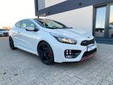 Kia ProCeed GT-Track|NAVI|SPORT - Kia: Sportwagen