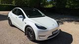 Tesla Model Y Performance Dual Motor AWD Performance